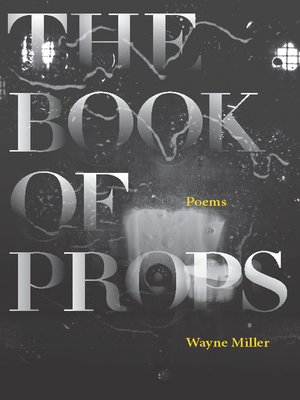 The Book of Props - ebook